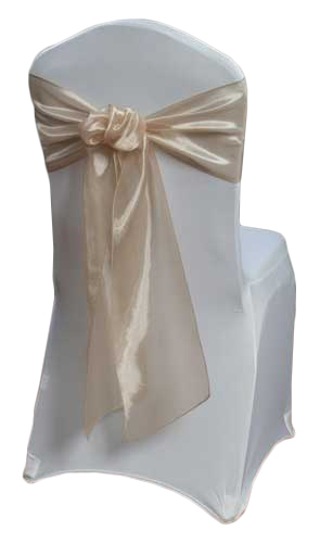 Champagne Mirror Sash Rental Champagne Mirror Sash Rental
