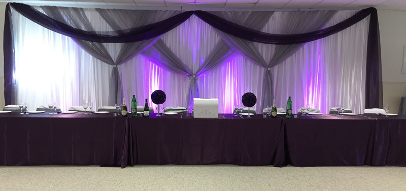 Silver & Eggplant Sheer Backdrop Silver & Eggplant Sheer Backdrop
