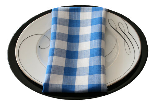 Blue Linen Check Napkin Rental Blue Linen Check Napkin Rental