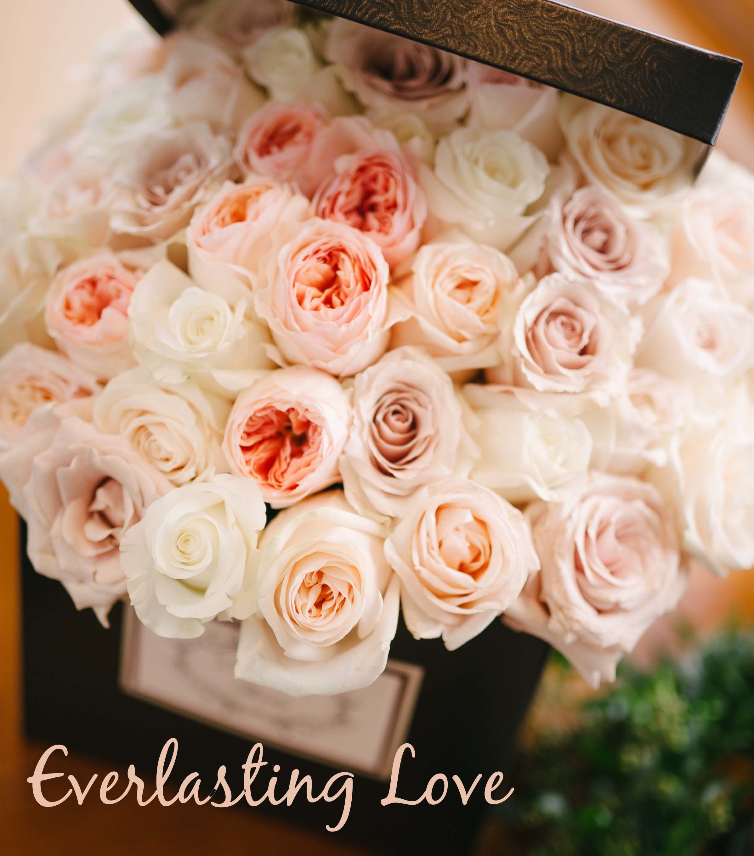Everlasting Love - When she is your forever love! V40026