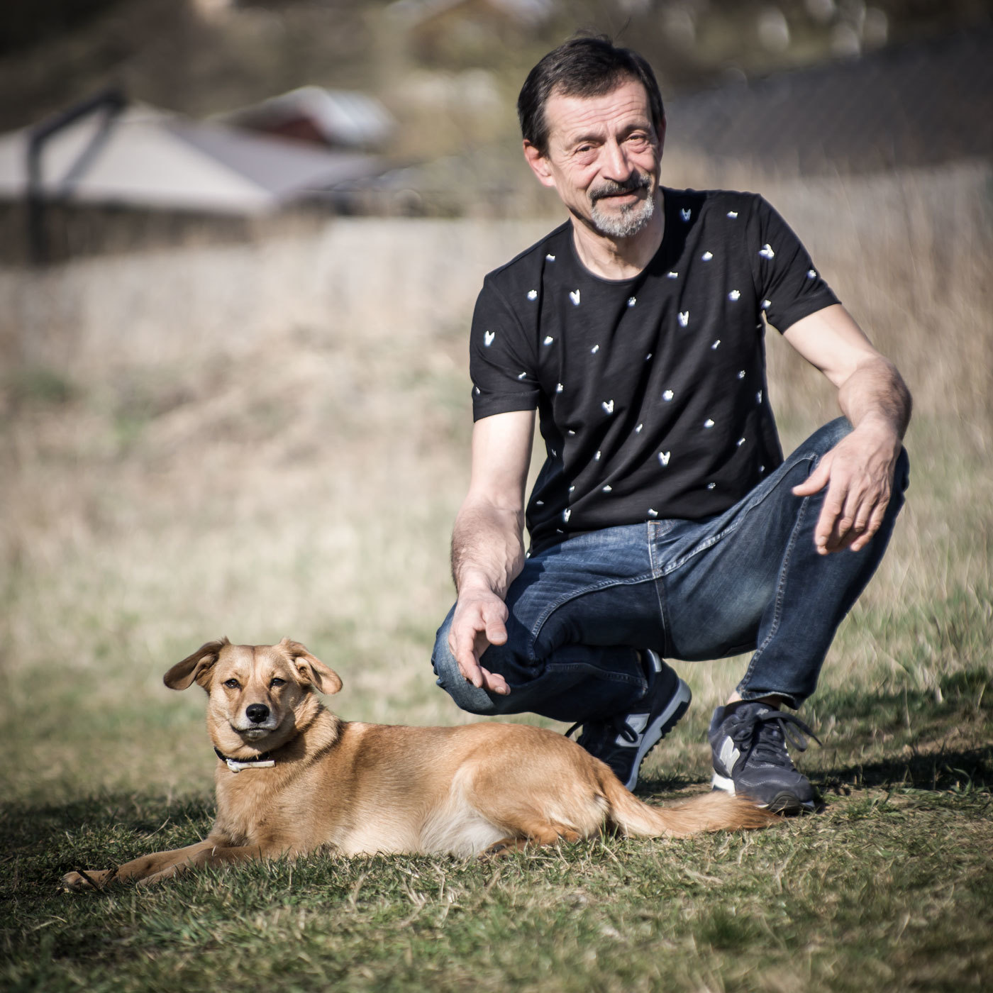 Dog minimal