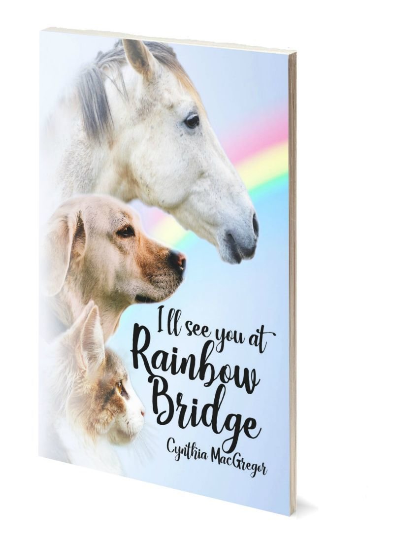 I'll See You at Rainbow Bridge by Cynthia MacGregor