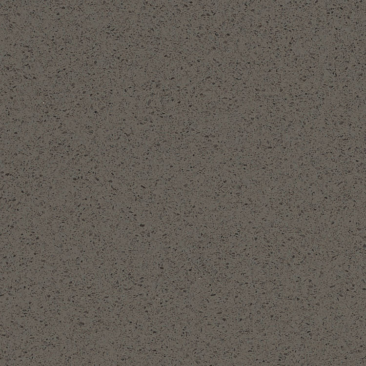 Corian Quartz Sample Graphite