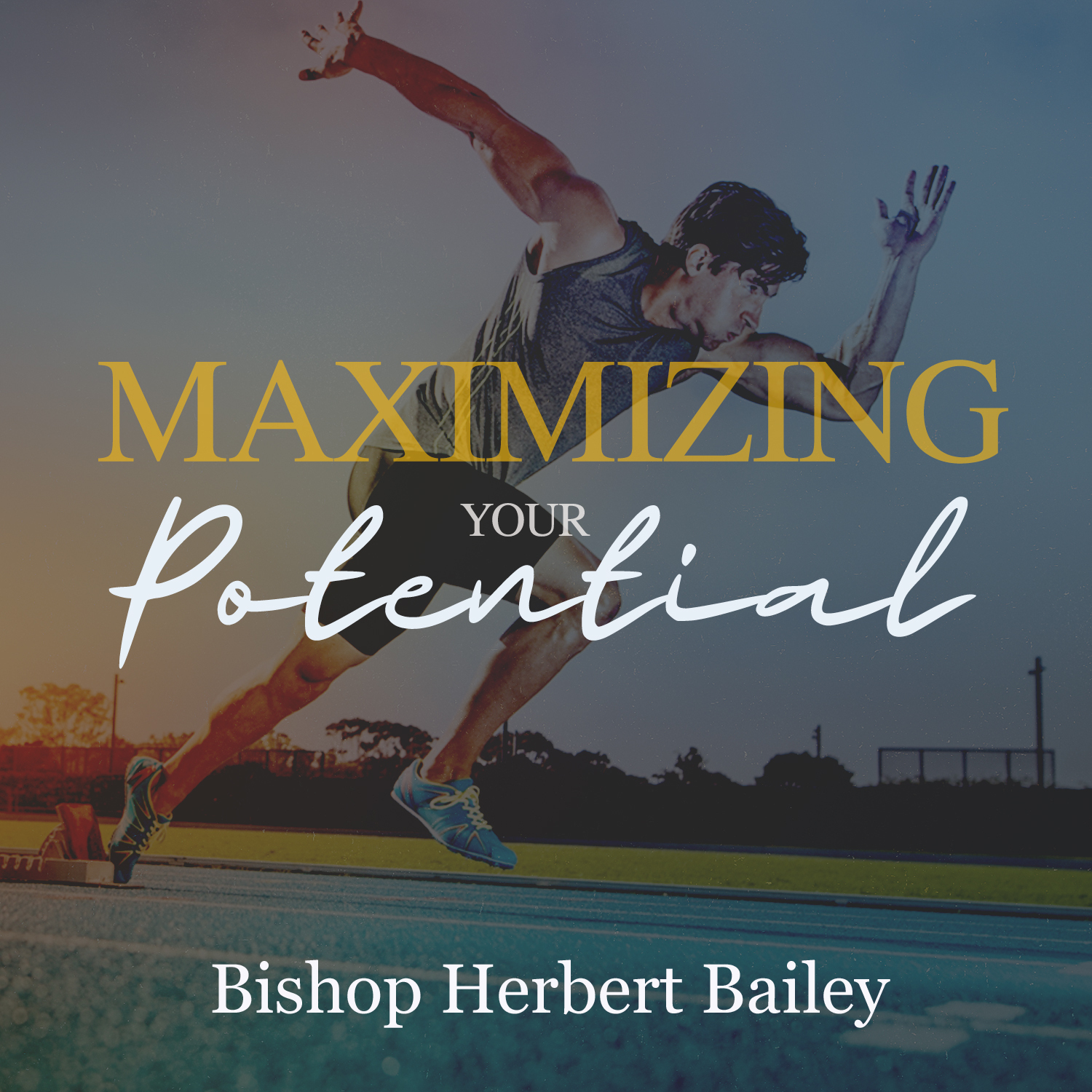 Maximizing Your Potential-DVD Series DVD6104
