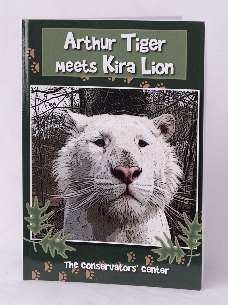 Arthur Tiger Meets Kira Lion 00019