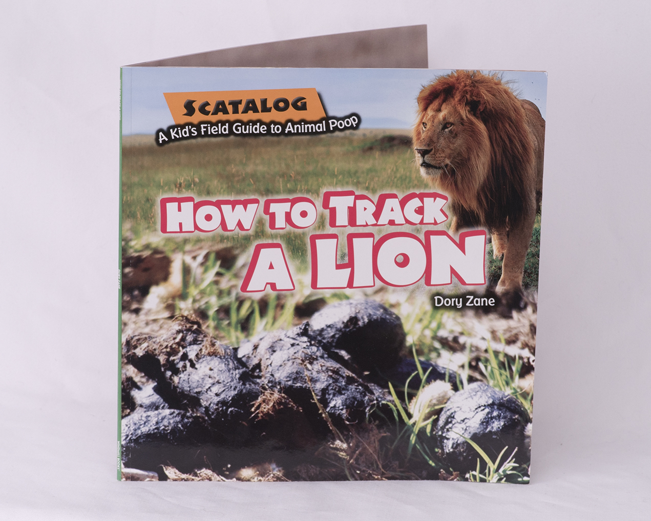 How to Track a Lion 00021