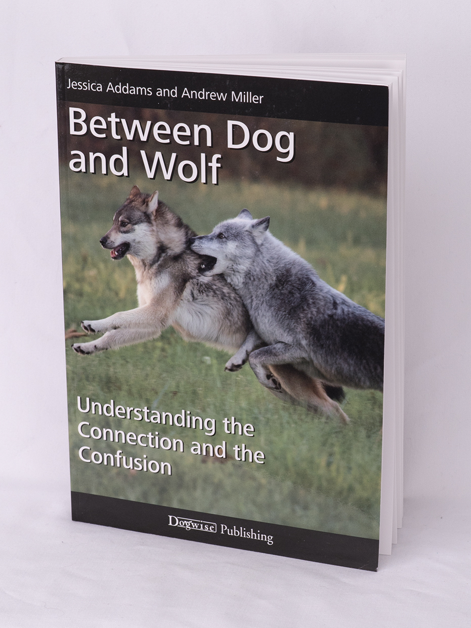 Between Dog and Wolf 00025