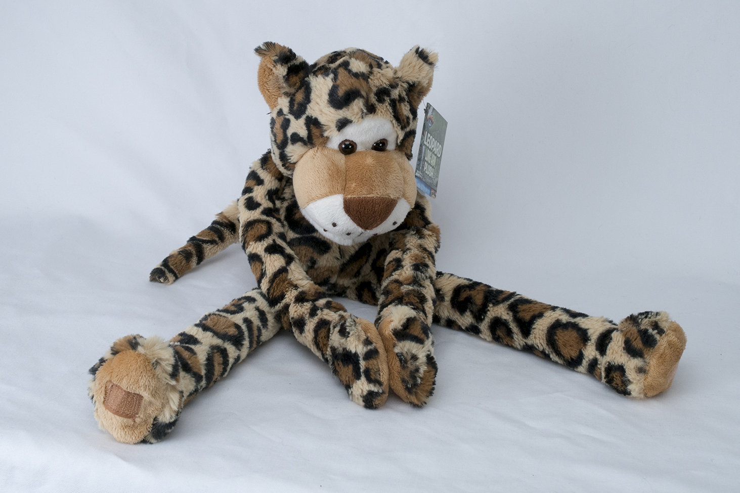 Swingin' Safari Leopard 00010