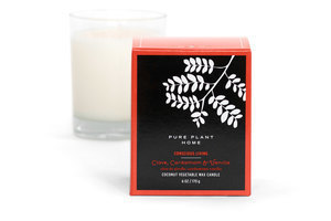 Front Clove/Cardamon/Vanilla Coconut Wax
