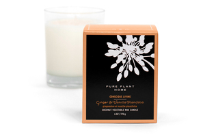 Front Ginger/Vanilla Coconut Wax
