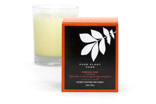 Front Mandarin Orange/Lemongrass Coconut Wax