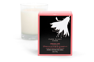 Front Valencia Orange/Grapefruit Coconut Wax