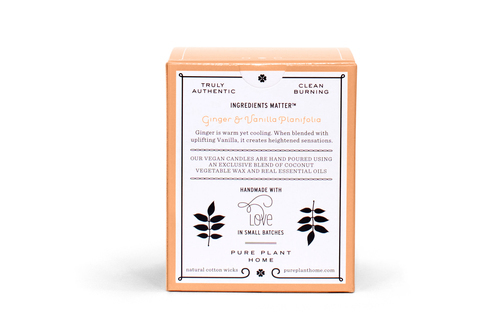 Back Ginger/Vanilla Coconut Wax