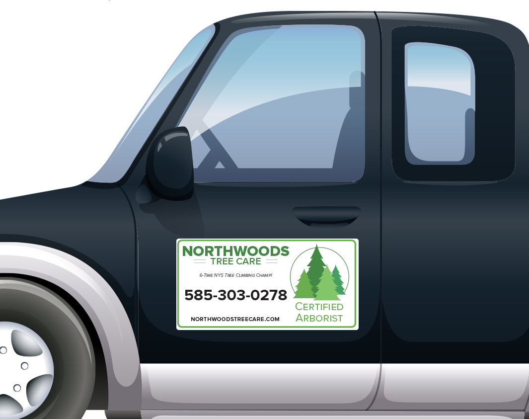 Vehicle Magnet 12x20 Pair 00038